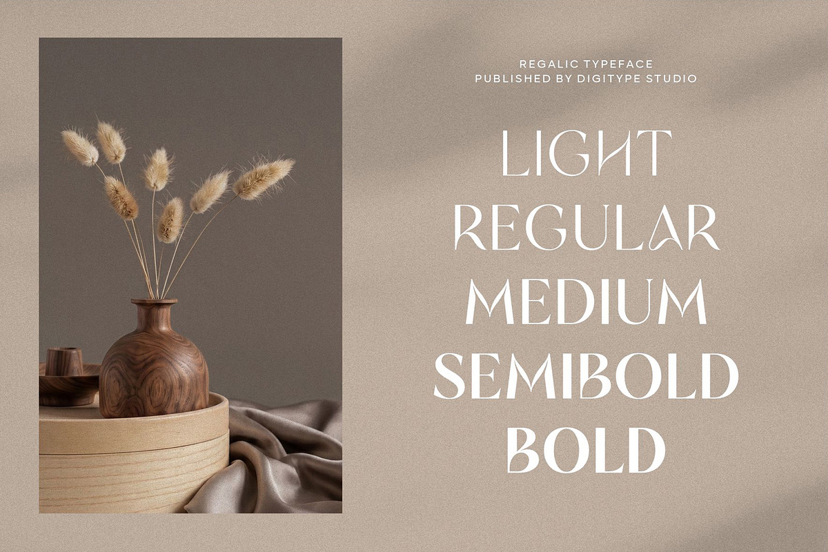 Regalic | Font Family, a Sans Serif Font by Digitype Studio (Photo 3 of 14)
