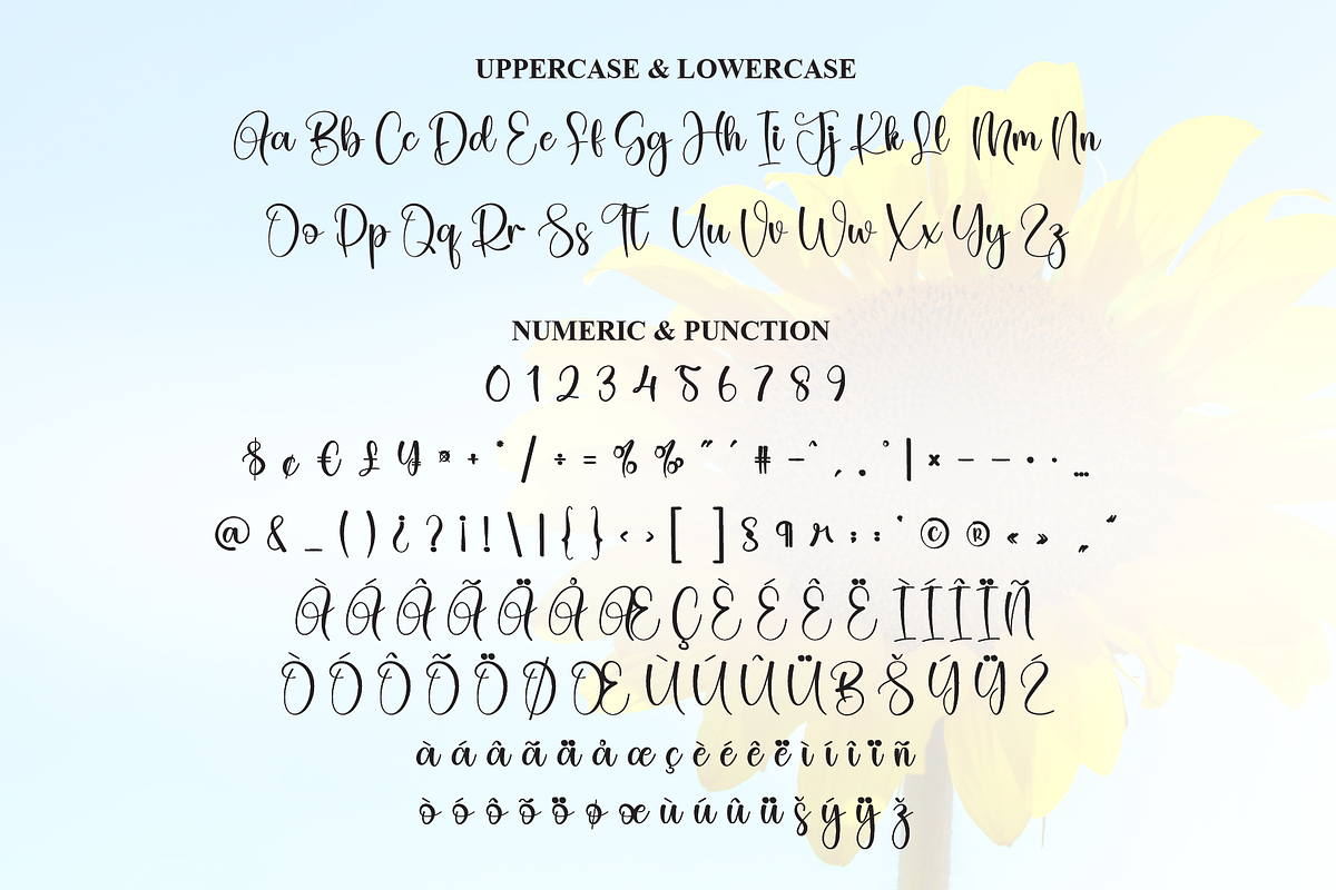 Sunflower | Script Font, a Handwritten Font by Scratchones (Photo 7 of 8)