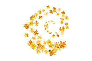 Autumn leaves design element, an Object Illustration by Things for designers