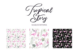 Tropical Story. All About Flamingo