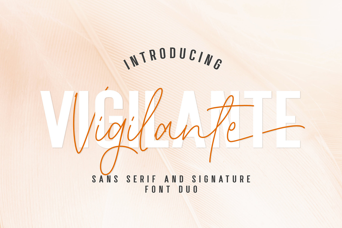 Vigilante | A Modern Classy Font Duo, a Sans Serif Font by Andrimada Creative (Photo 1 of 10)