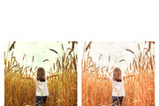 10 Hello Autumn Lightroom Presets, a Preset Add-On by MockTurtleStudio (Thumbnail 4 of 9)