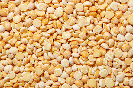 Uncooked Polished Split Peas Background, a Photo by InfinitumProdux