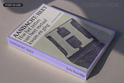 TT Jenevers, a Serif Font by TypeType (Thumbnail 9 of 15)