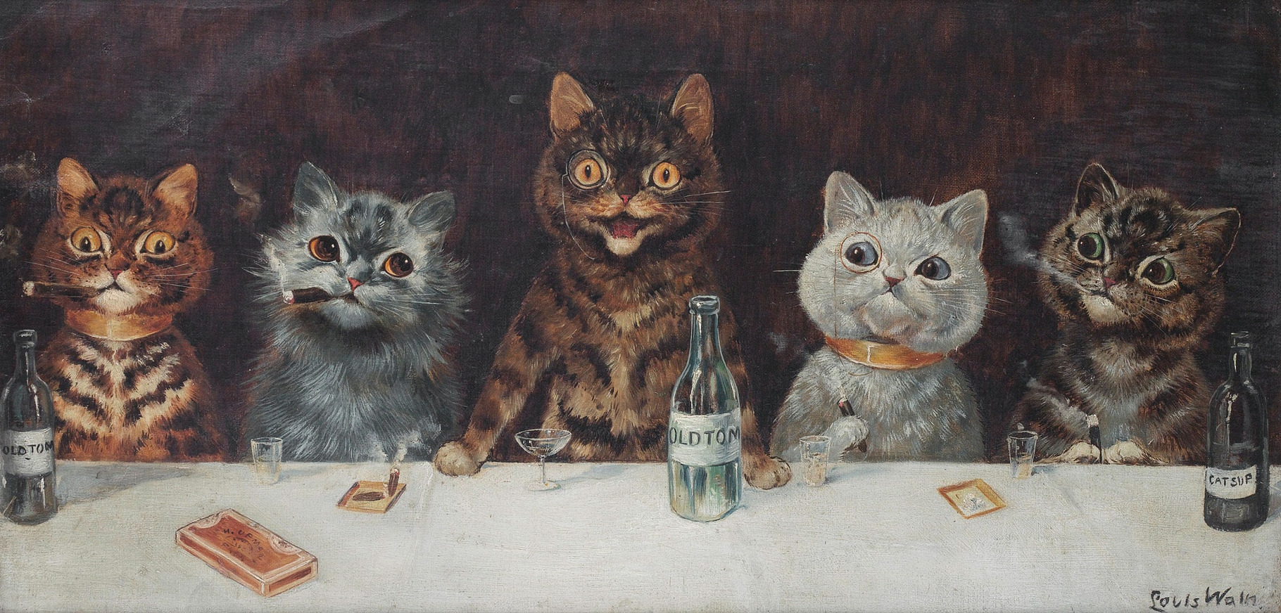 Funny cats, an Animal Photo by HaithamSimas