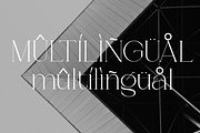 Lunévia Orliene Modern Serif, a Serif Font by Muksal Creative (Thumbnail 10 of 10)