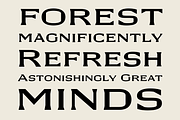 GW Dirlo, a Font by Goodwheel Studio (Thumbnail 9 of 17)