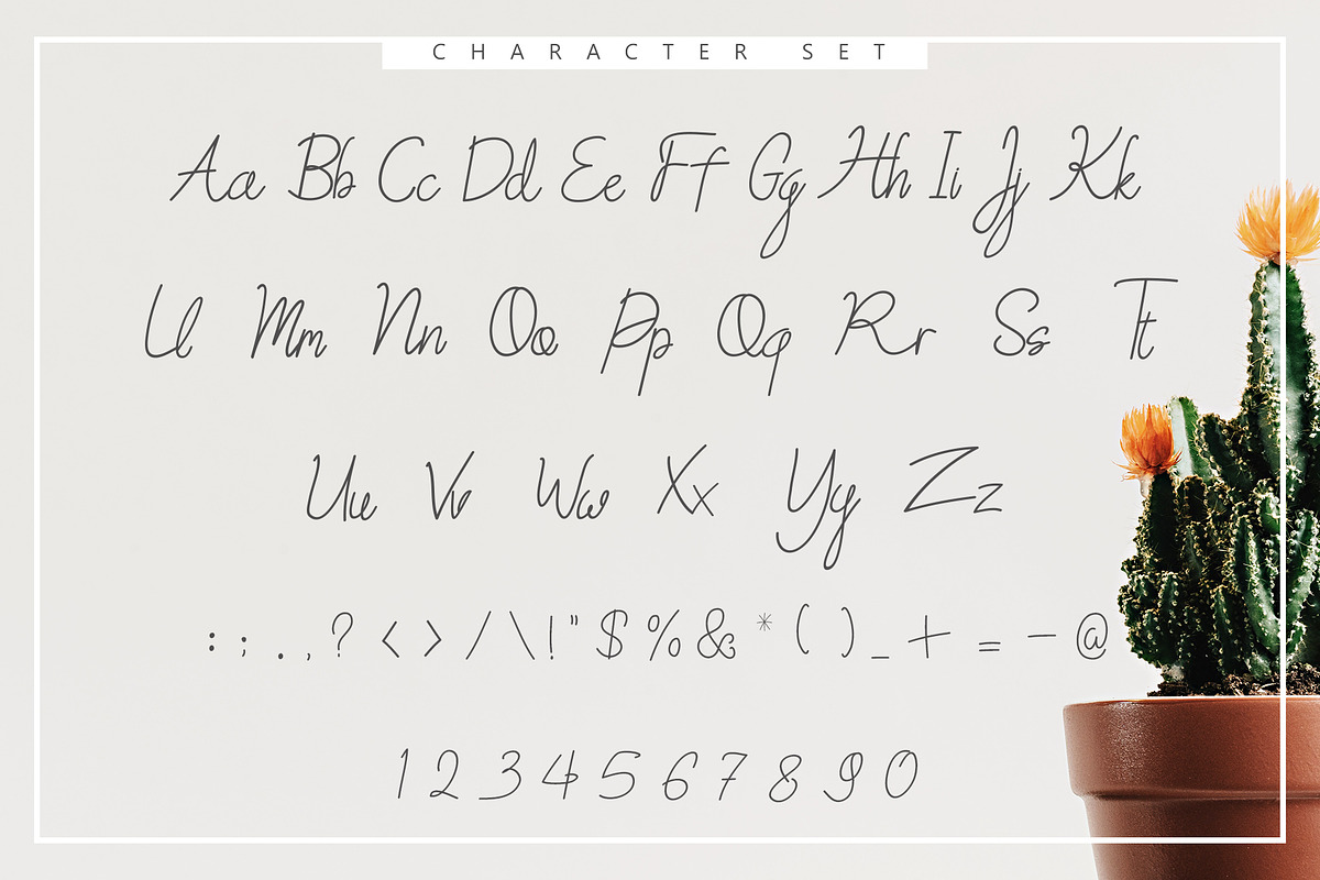 Sweet Petunia Handwirtten Script preview 2