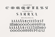 Megphis Modern Serif Font, a Serif Font by Storytype Studio (Thumbnail 14 of 15)