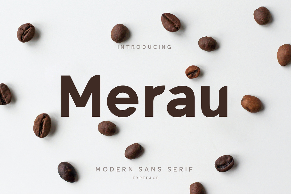 Merau Modern Sans Serif Font, a Sans Serif Font by Dicubit (Photo 1 of 5)