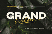 Grand Wilson - Font Duo, a Sans Serif Font by Letterhend Studio (Thumbnail 1 of 9)