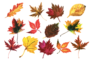 Autumn Leaves Watercolor Icons