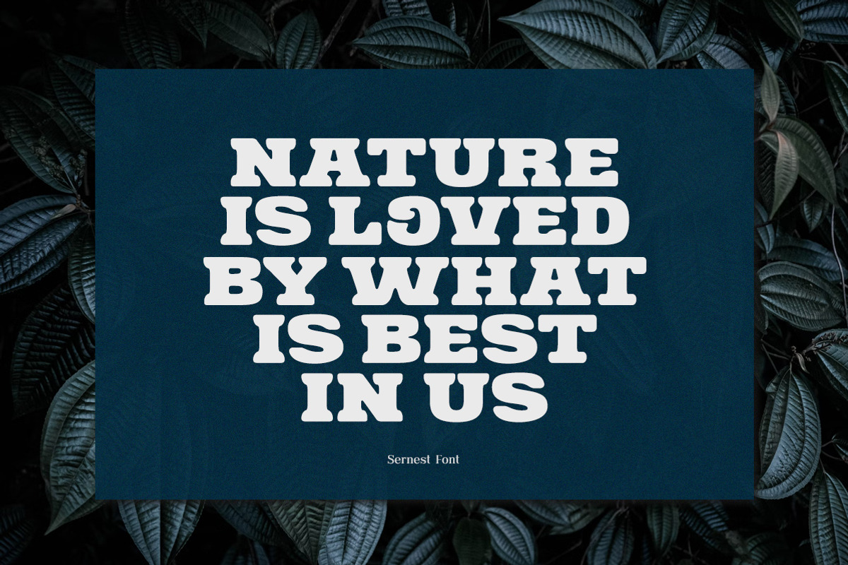 Sernest Display, a Sans Serif Font by Letterhend Studio (Photo 5 of 10)