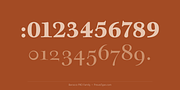 Barocco PRO, a Serif Font by preussTYPE (Thumbnail 4 of 12)
