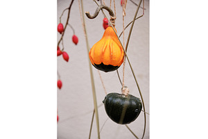 Close-up shot of two small gourds, a Food & Drink Photo by Rohan Photography