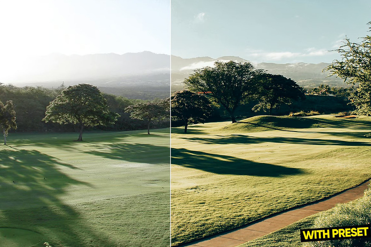 Soft Green Presets for Lightroom, a Preset Add-On by Hubzway (Photo 3 of 5)