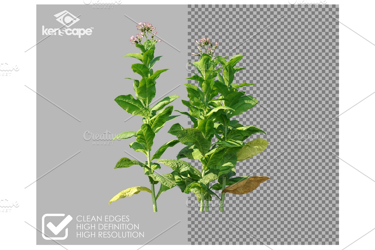 81 Farm Plants Photo Overlays, a Nature Photo by KenScape (Photo 2 of 3)