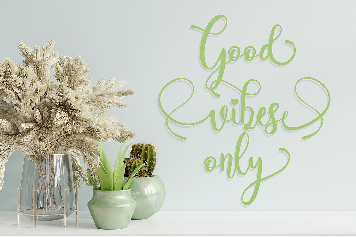 Carelina - Modern Calligraphy, a Script Font by erlosDESIGN (Photo 3 of 12)