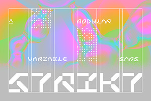Strikt Variable | 24 fonts, a Sans Serif Font by NAUM