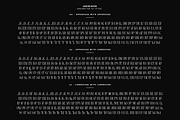 Evertype - Display Serif Font Family, a Serif Font by VP Fonts (Thumbnail 26 of 32)