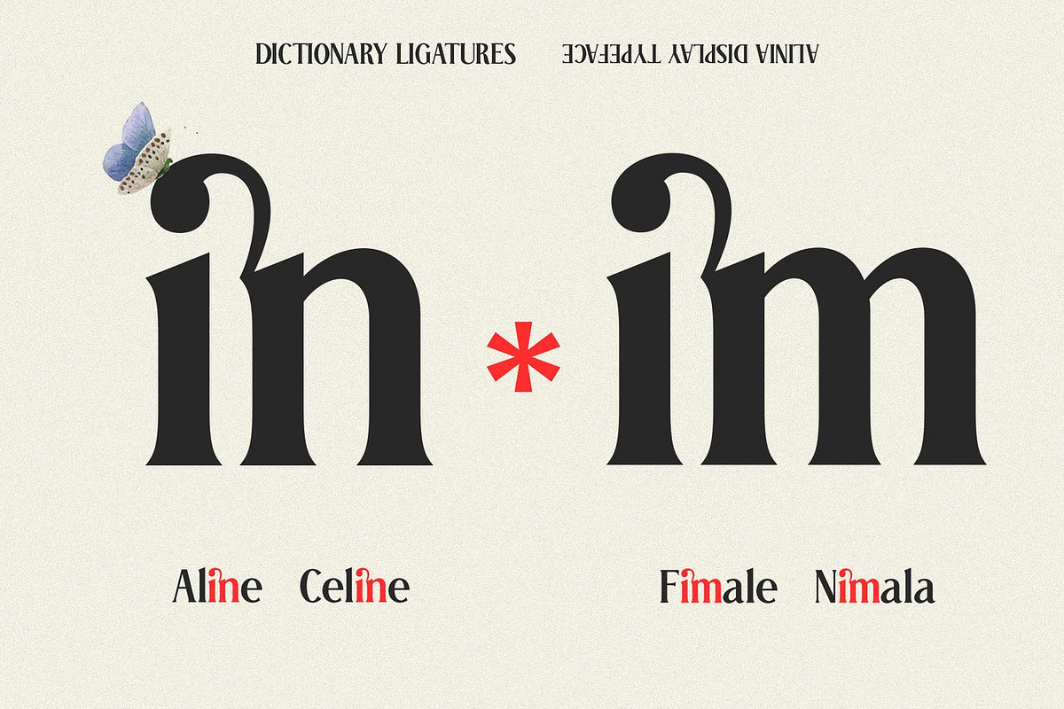 Elnaks Modern Serif Display, a Serif Font by Luna Shop (Photo 6 of 9)