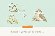 Procreate Bird Drawing Toolkit, a Brush Add-On by Lisa Glanz (Thumbnail 7 of 13)