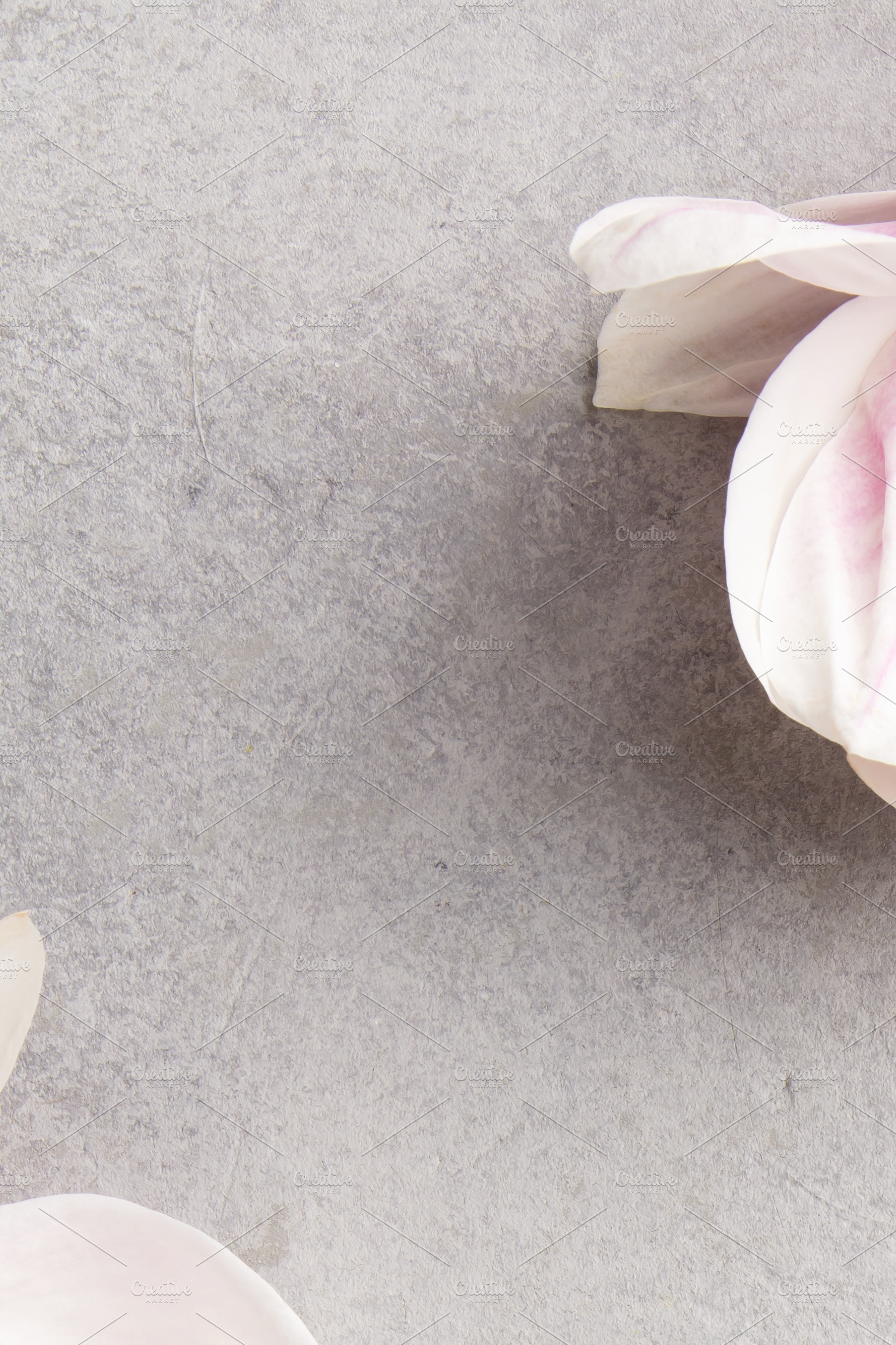 Silk Sleep Mask with Magnolia Flowers on Soft Neutral Background, a Health & Medical Photo by Natalia Klenova's Shop
