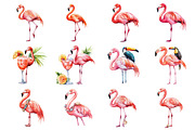 Tropical Flamingo Clipart, an Illustration by Design Market (Thumbnail 3 of 4)