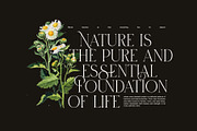 Biges Elegant Serif Font, a Serif Font by Graphicxell (Thumbnail 4 of 8)