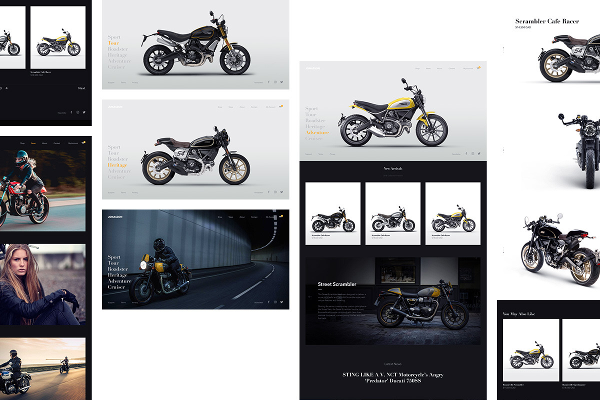 Valkyrie Shopify Theme, a Shopify Template by Bichin (Photo 3 of 4)