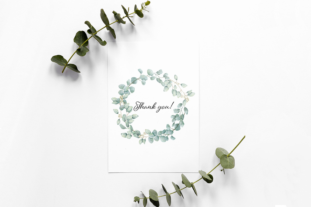 Eucalyptus Line Art And Watercolor, a Decorative Illustration by ElenaPlatovaArt (Photo 10 of 10)