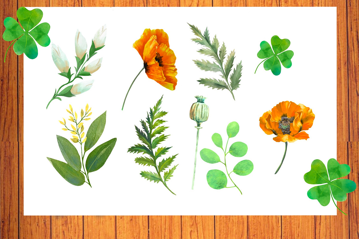 St Patrick's Day watercolor clipart, an Illustration by AkvarelRiver (Photo 5 of 9)