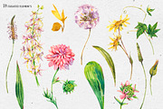 Watercolor meadow herbs&flowers, an Illustration by Depiano (Thumbnail 2 of 19)