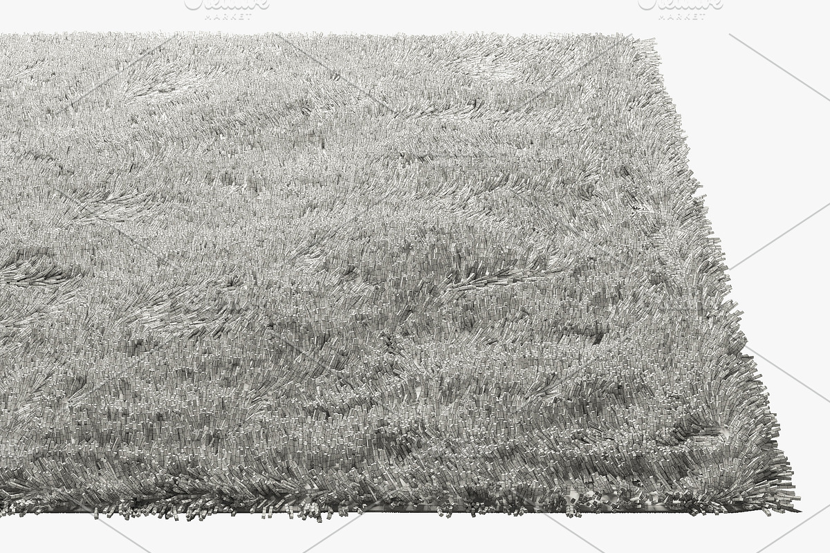 Carpets with long nap 3d model, a Furniture 3D Model by 3dmitruk (Photo 8 of 8)