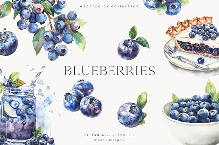 Watercolor Blueberries, a Food Illustration by PeDe Designs