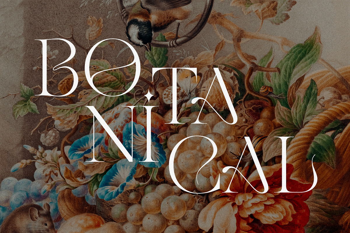 GLAMY - Ligature Rich Serif, a Serif Font by Ivan Rosenberg (Photo 10 of 13)