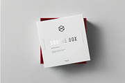 Square Shoe Box Mock-up, a Product Mockup by zippypixelstudio (Thumbnail 7 of 7)
