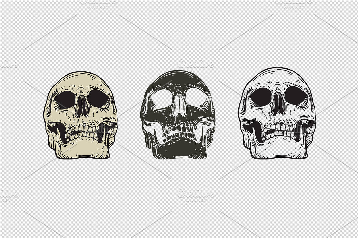 Vector Skulls | Illustration set, a Texture Illustration by GRPXSTORE (Photo 3 of 3)