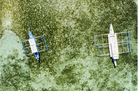 Top down aerial view of a two, a Nature Photo by Igor Tichonow