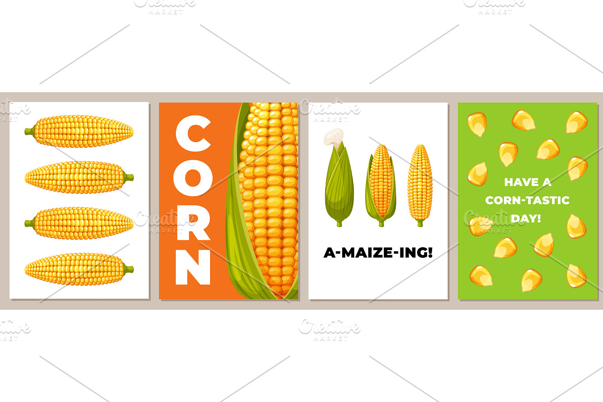 Vegetable corn cards. Sweet maize, an Animal Illustration by YummyBuum