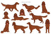 Irish Red Setter clipart, an Animal Illustration by pet design shop (Thumbnail 3 of 8)