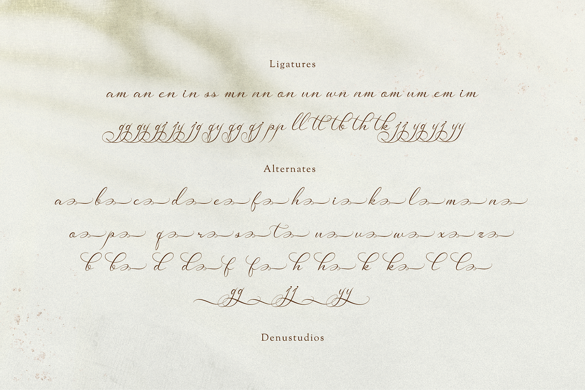Van Marigella | Classic Calligraphy, a Script Font by Denustudios (Photo 12 of 12)