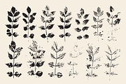 Stamped Prints of Leaves & Flowers, an Object Graphic by Yasir Ekinci (Thumbnail 7 of 14)