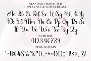 Black Dragon, a Handwritten Font by FreshTypeINK (Thumbnail 8 of 8)