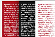 Fortecs - A Timeless Classic Serif, a Serif Font by Skinny Type (Thumbnail 10 of 10)