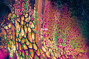 Fuse: Abstract Paint Textures, a Texture Graphic by Chroma Supply (Thumbnail 10 of 15)
