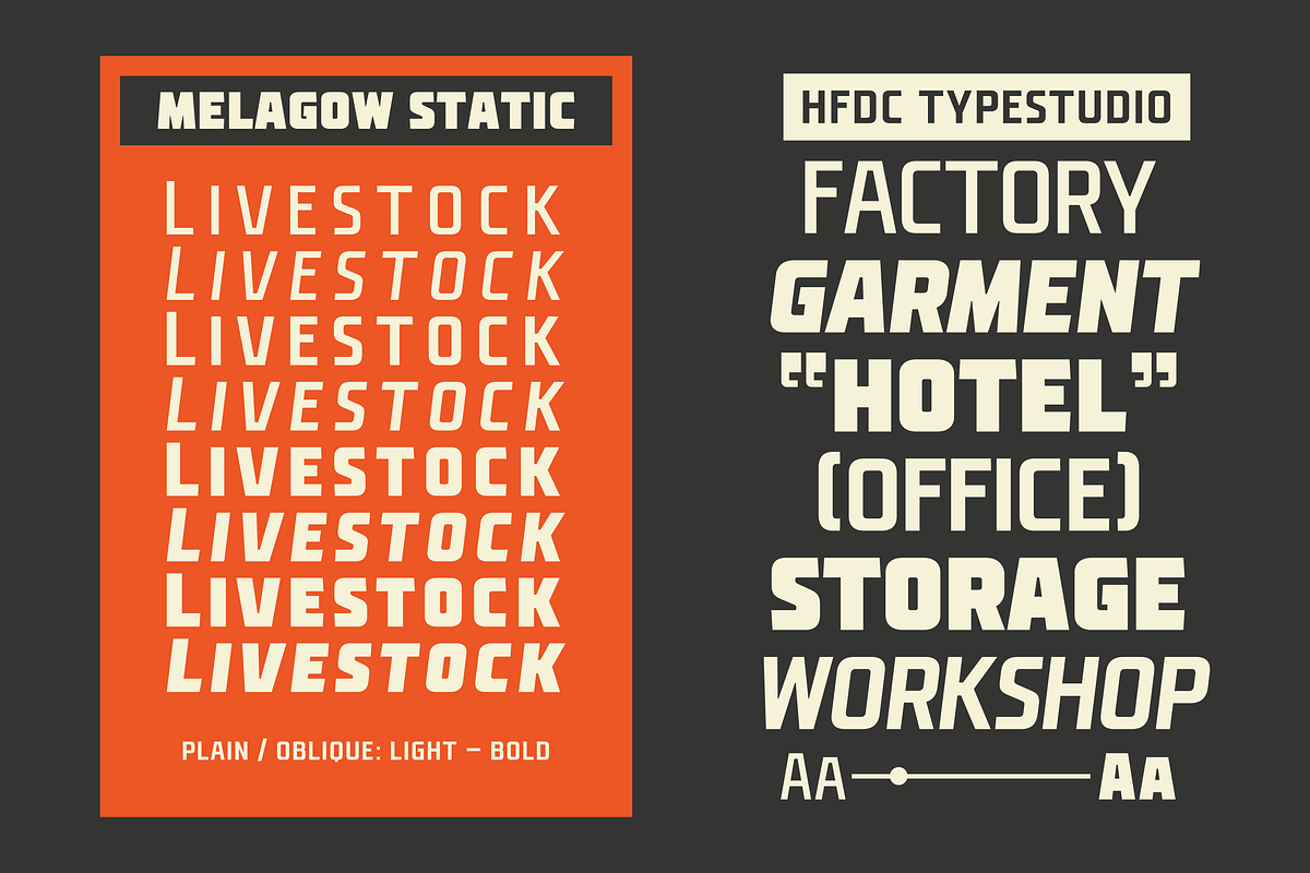 Melagow Display Variable, a Sans Serif Font by 24Design Studios (Photo 7 of 11)
