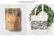 Nuts Hand-Drawn Vector Illustrations, a Food Illustration by Yevheniia (Thumbnail 10 of 15)