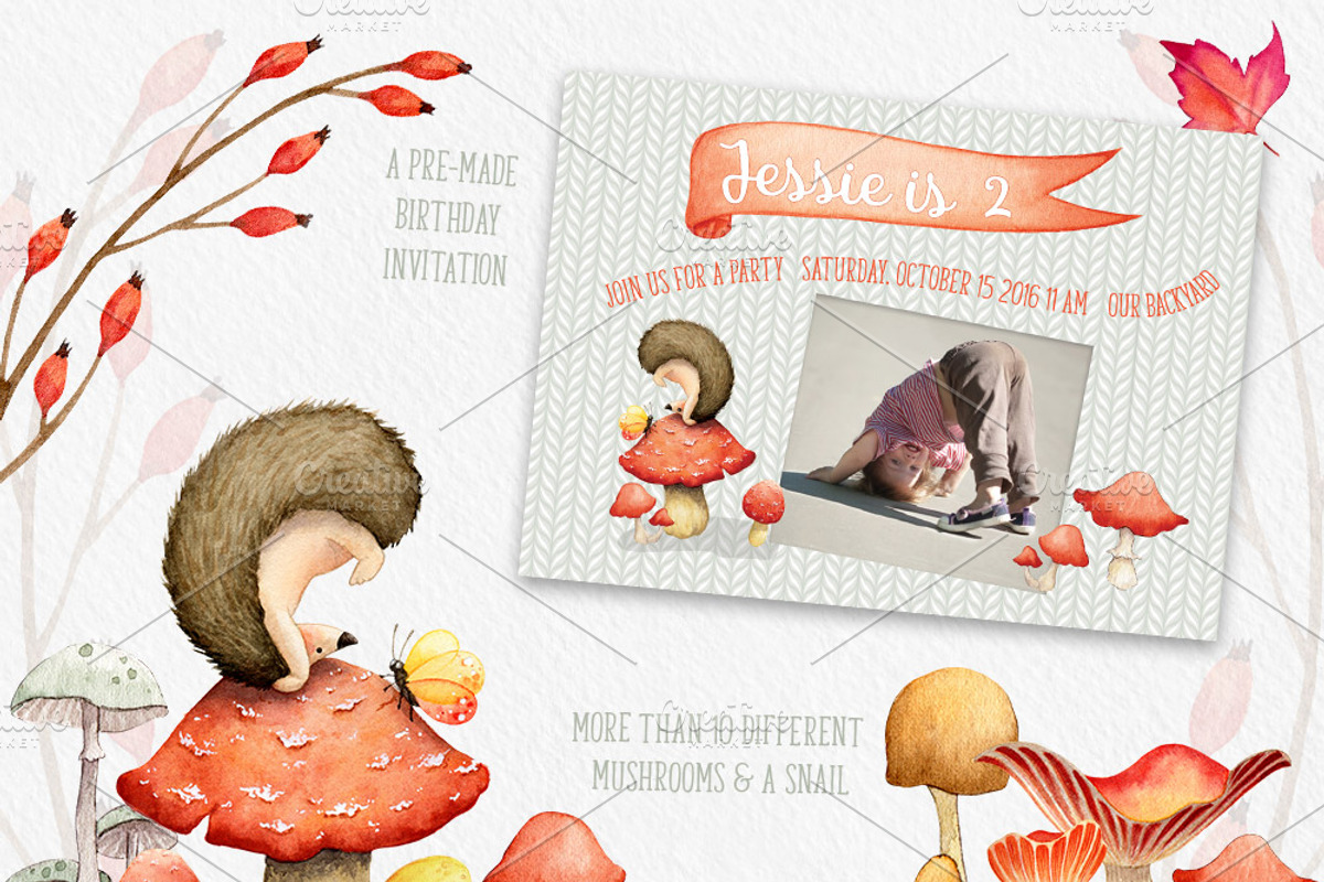 The Hedgehog - Mini Collection, an Illustration by Watercolor Nomads (Photo 3 of 4)