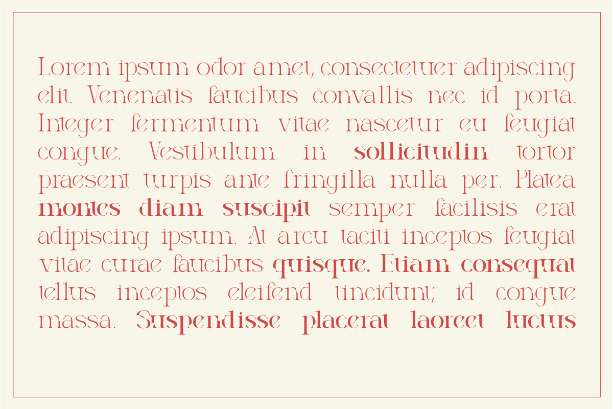 Thornfield, a Serif Font by Lettramina Studio (Photo 5 of 9)